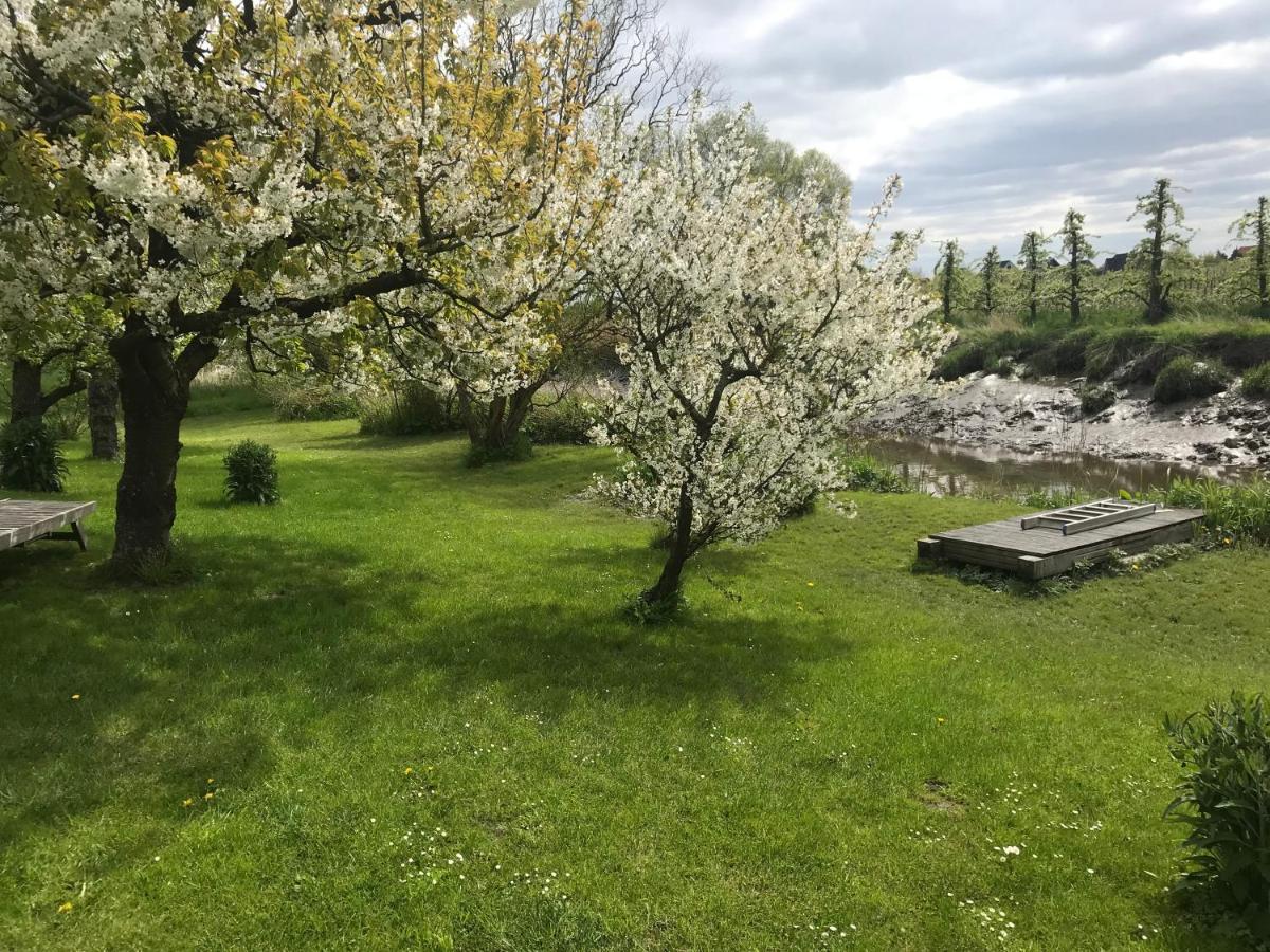 Gaestehaus Weidenkoerbchen Jork Bagian luar foto